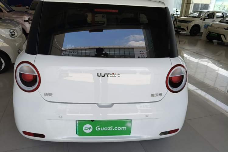 Used CHANGAN NEVO Lumin 2024 130km Qingyue Version Rear