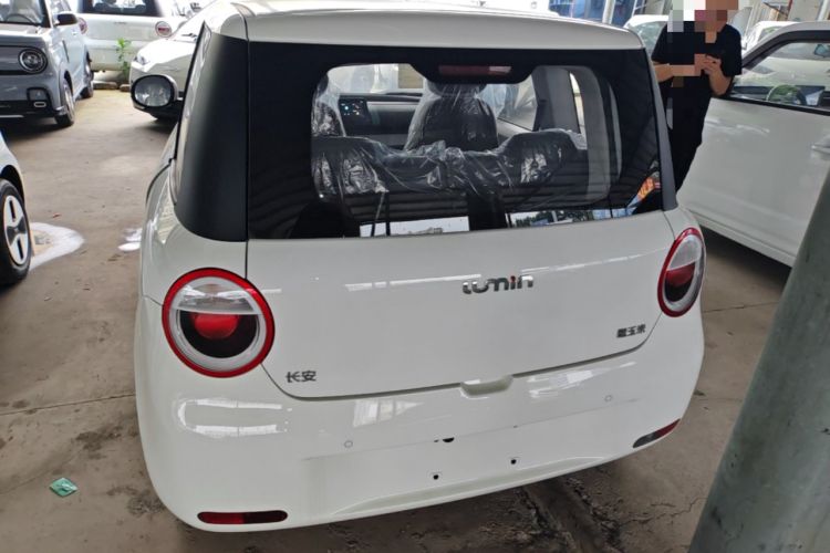Used CHANGAN NEVO Lumin 2024 130km Qingyue Version Rear