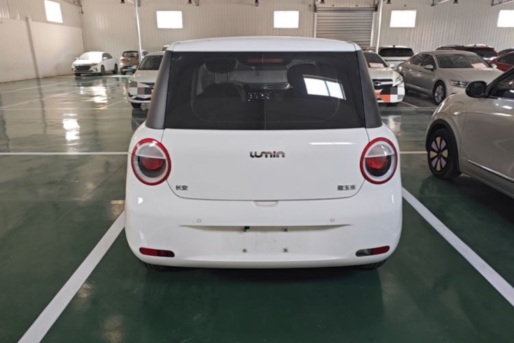 Used CHANGAN NEVO Lumin 2024 130km Qingyue Version Rear