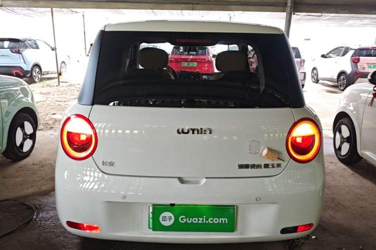 Used CHANGAN NEVO Lumin 2024 130km Qingyue Version Rear