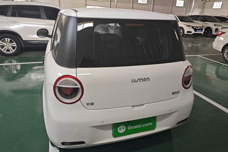 Used CHANGAN NEVO Lumin 2024 130km Qingyue Version Rear