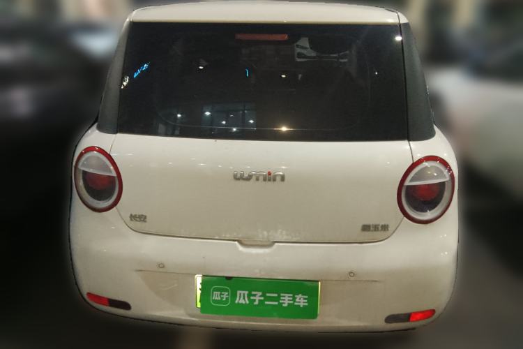 Used CHANGAN NEVO Lumin 2024 130km Qingyue Version Rear