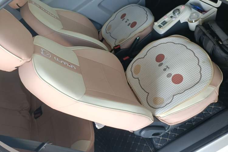 Used CHANGAN NEVO Lumin 2024 130km Qingyue Version Right Front Seat