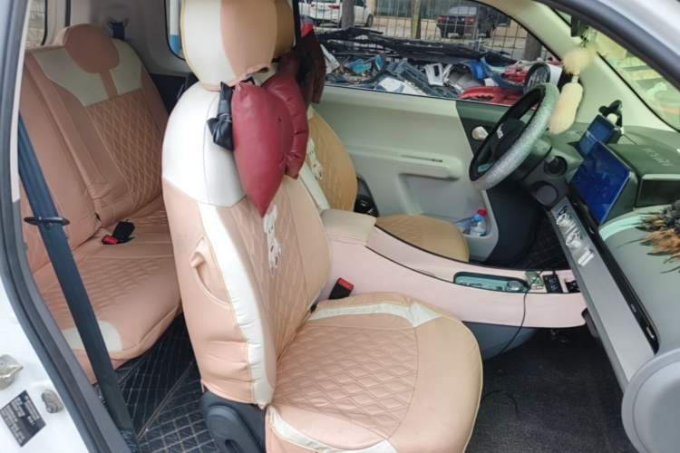 Used CHANGAN NEVO Lumin 2024 130km Qingyue Version Right Front Seat