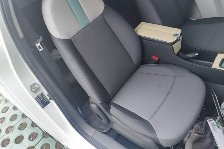 Used CHANGAN NEVO Lumin 2024 130km Qingyue Version Right Front Seat