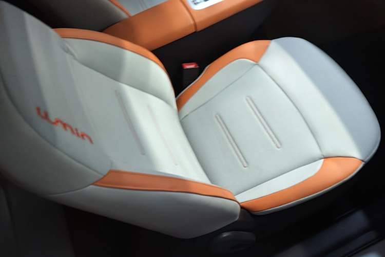 Used CHANGAN NEVO Lumin 2024 205km Orange Wind Edition Right Front Seat