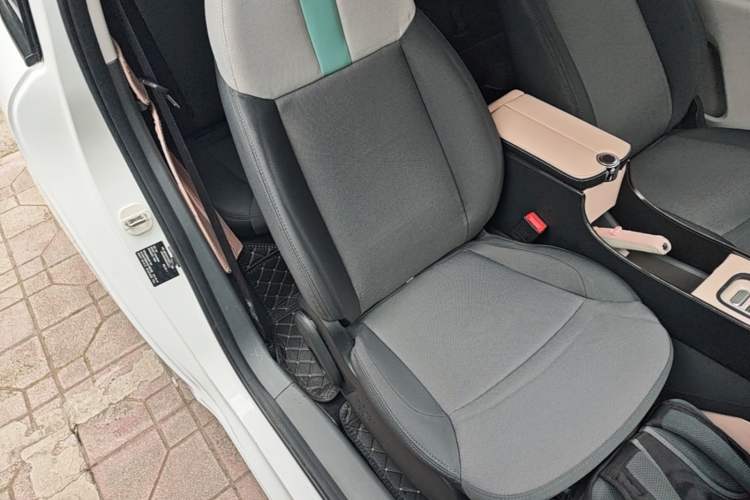 Used CHANGAN NEVO Lumin 2024 130km Qingyue Version Right Front Seat