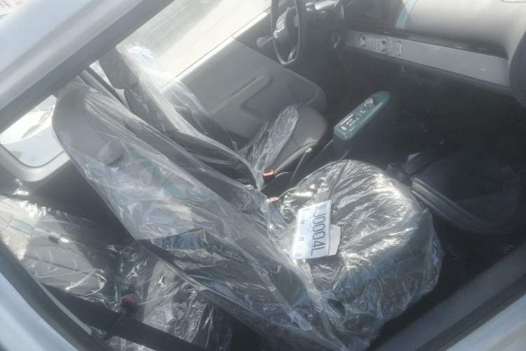 Used CHANGAN NEVO Lumin 2024 130km Qingyue Version Right Front Seat