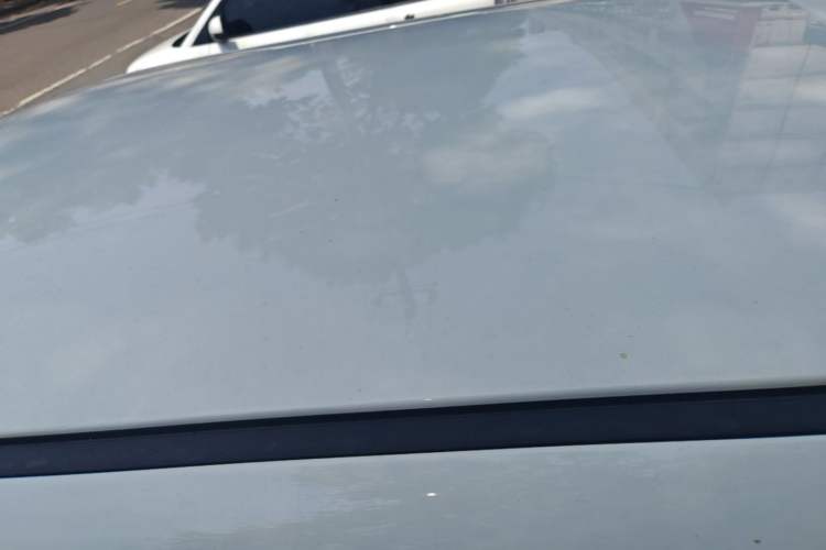 Used CHANGAN NEVO Lumin 2024 130km Qingyue Version Roof