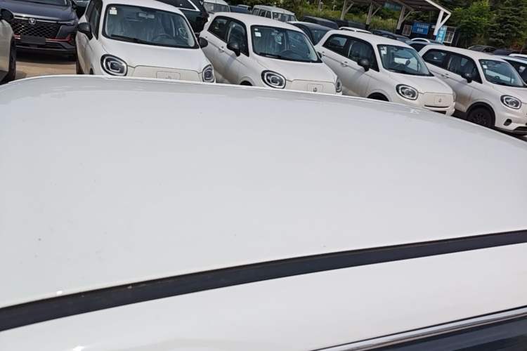 Used CHANGAN NEVO Lumin 2024 130km Qingyue Version Roof