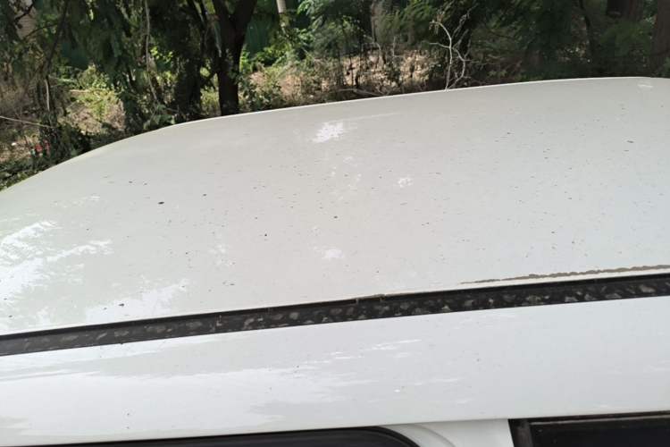 Used CHANGAN NEVO Lumin 2024 130km Qingyue Version Roof
