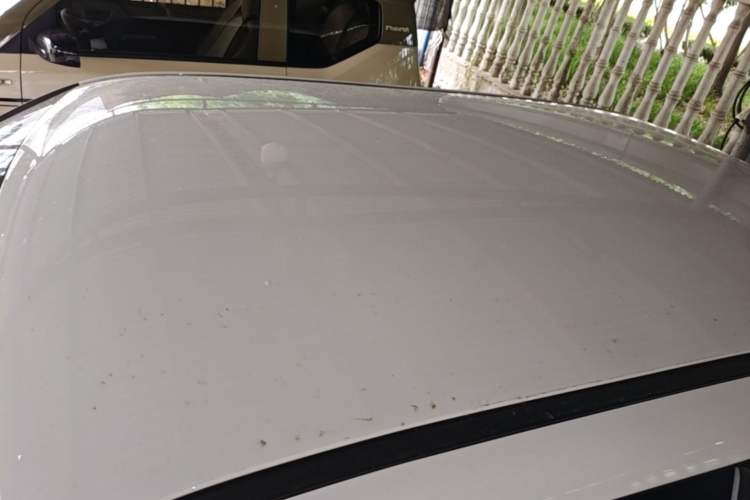 Used CHANGAN NEVO Lumin 2024 130km Qingyue Version Roof