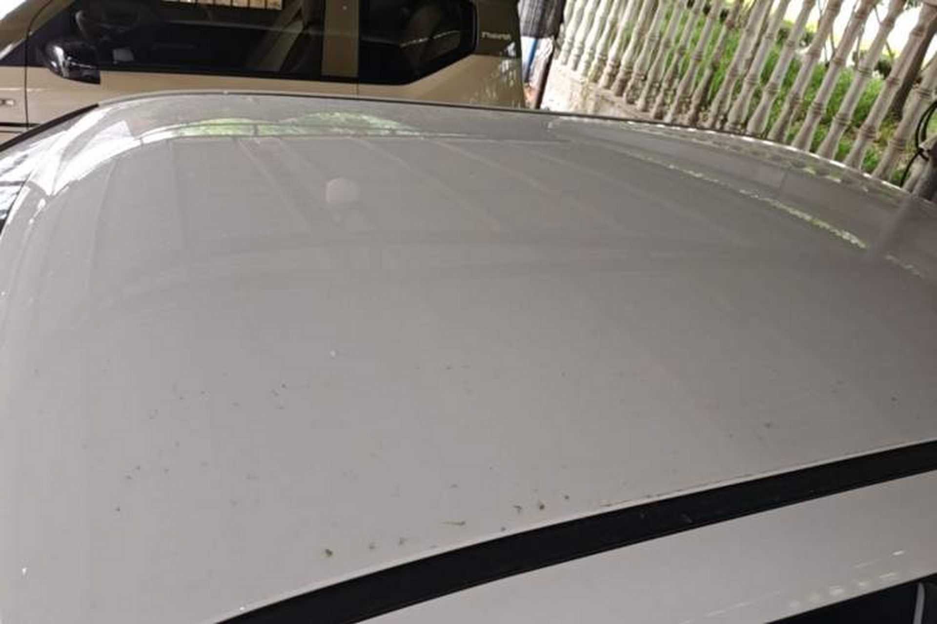Used CHANGAN NEVO Lumin 2024 130km Qingyue Version Roof