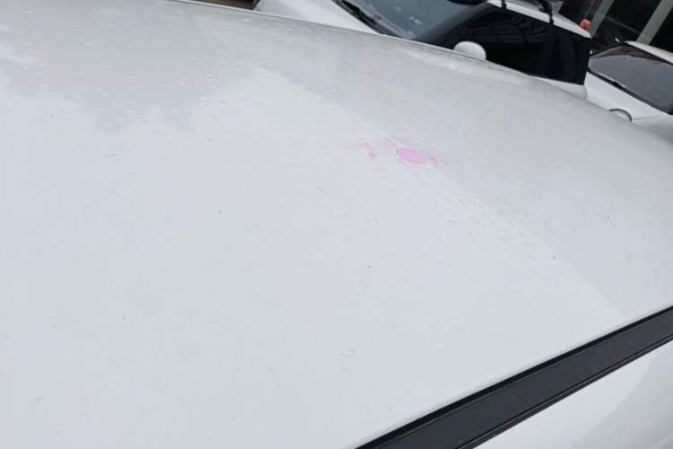 Used CHANGAN NEVO Lumin 2024 130km Qingyue Version Roof