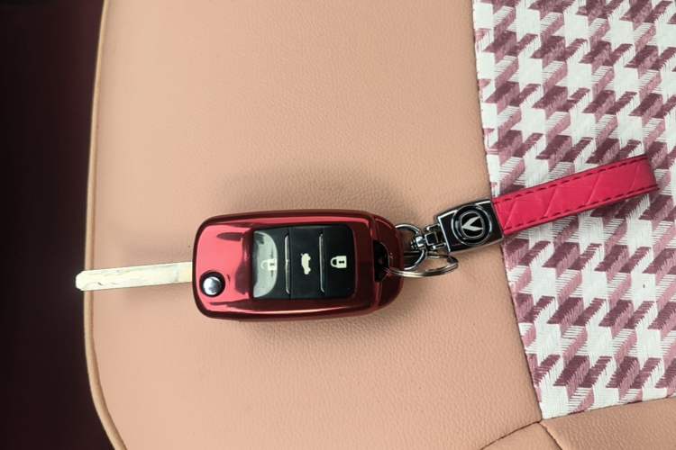 Used CHANGAN NEVO Lumin 2024 205km Launch Edition Vehicle Key
