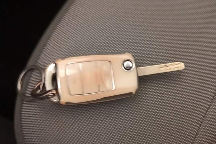Used CHANGAN NEVO Lumin 2024 130km Qingyue Version Vehicle Key