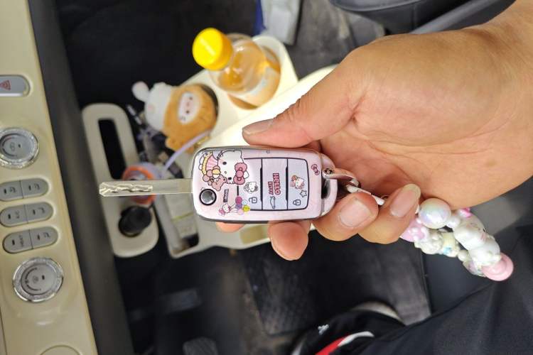 Used CHANGAN NEVO Lumin 2024 130km Qingyue Version Vehicle Key