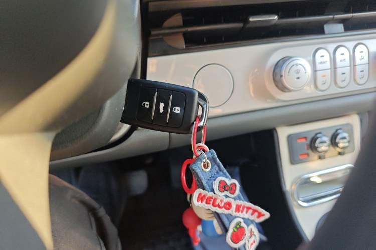 Used CHANGAN NEVO Lumin 2024 130km Qingyue Version Vehicle Key
