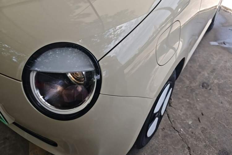 Used CHANGAN NEVO Lumin 2024 205km Orange Wind Edition Left Front Headlight