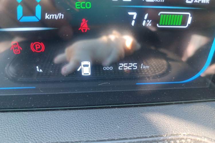 Used CHANGAN NEVO Lumin 2025 301km Honey Dew Edition Odometer Close Up