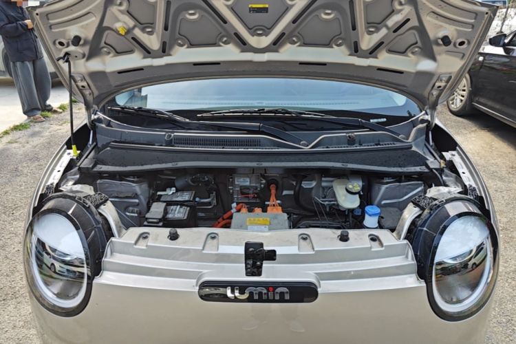 Used CHANGAN NEVO Lumin 2025 205 km Xiangqin Version Engine Bay