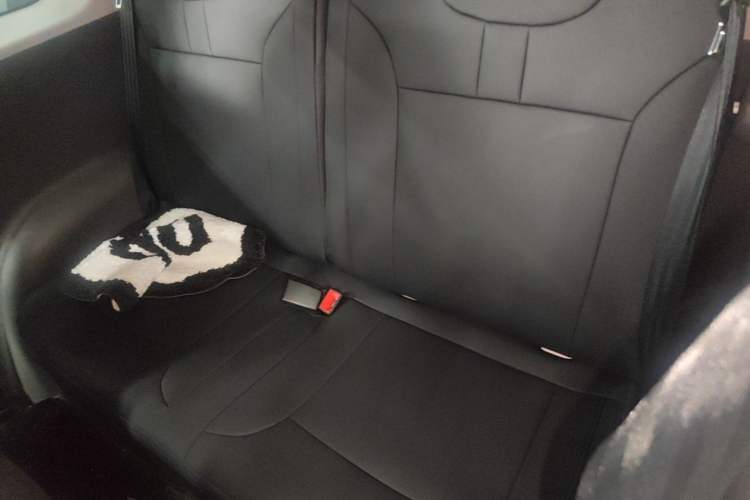 Used CHANGAN NEVO Lumin 2025 205 km Xiangqin Version Left Rear Seat