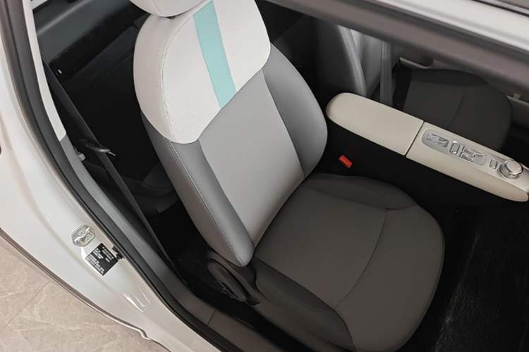 Used CHANGAN NEVO Lumin 2025 205 km Xiangqin Version Right Front Seat