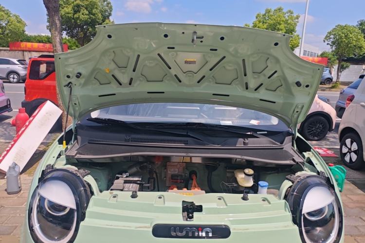 Used CHANGAN NEVO Lumin 2025 205 km Xiangqin Version Engine Bay