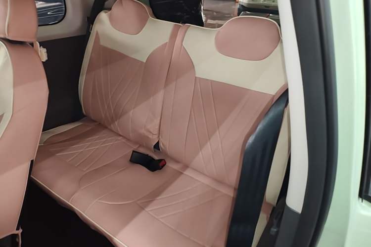 Used CHANGAN NEVO Lumin 2025 205 km Xiangqin Version Left Rear Seat