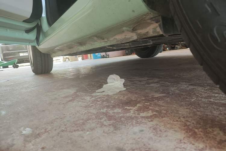 Used CHANGAN NEVO Lumin 2025 205 km Xiangqin Version Left Side Sill