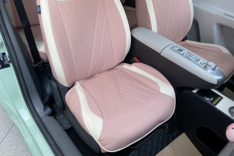 Used CHANGAN NEVO Lumin 2025 205 km Xiangqin Version Right Front Seat