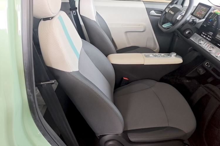Used CHANGAN NEVO Lumin 2025 205 km Xiangqin Version Right Front Seat