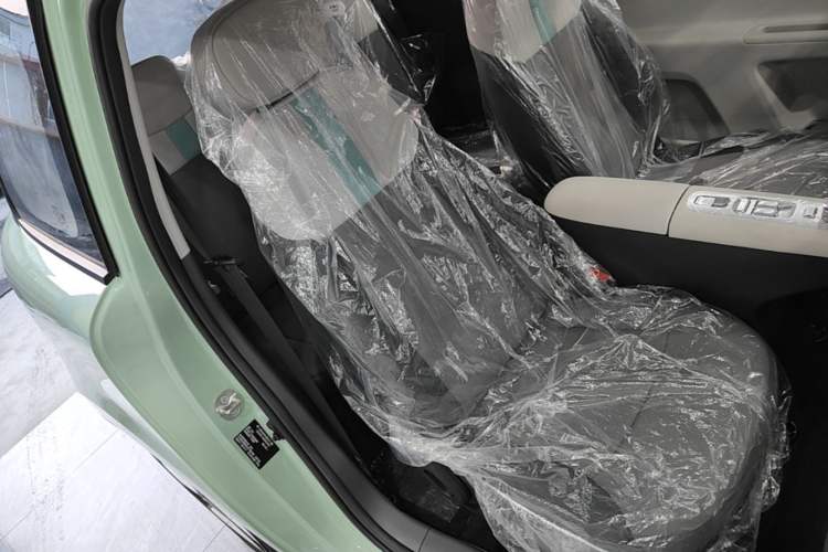 Used CHANGAN NEVO Lumin 2025 205 km Xiangqin Version Right Front Seat