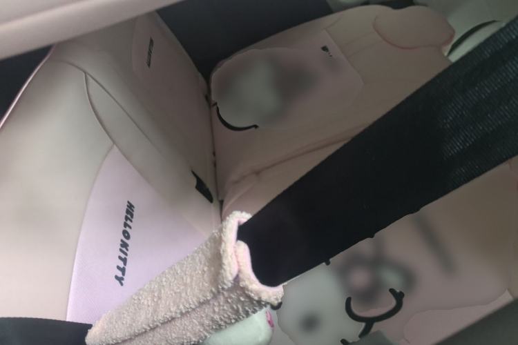 Used CHANGAN NEVO Lumin 2025 205 km Xiangqin Version Left Rear Seat