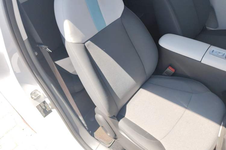 Used CHANGAN NEVO Lumin 2025 205 km Xiangqin Version Right Front Seat
