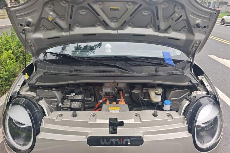 Used CHANGAN NEVO Lumin 2025 205 km Xiangqin Version Engine Bay
