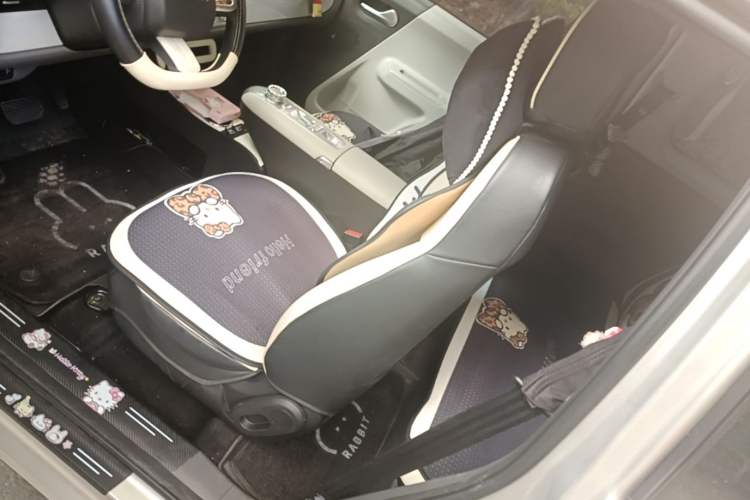 Used CHANGAN NEVO Lumin 2025 205 km Xiangqin Version Left Front Seat