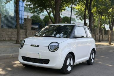 Used CHANGAN NEVO Lumin 2025 205 km Xiangqin Version