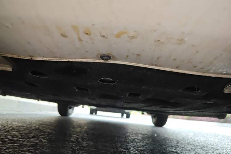 Used CHANGAN NEVO Lumin 2025 205km Refreshing Edition Chassis Front
