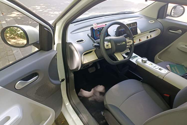 Used CHANGAN NEVO Lumin 2025 205 km Xiangqin Version Driver Seat
