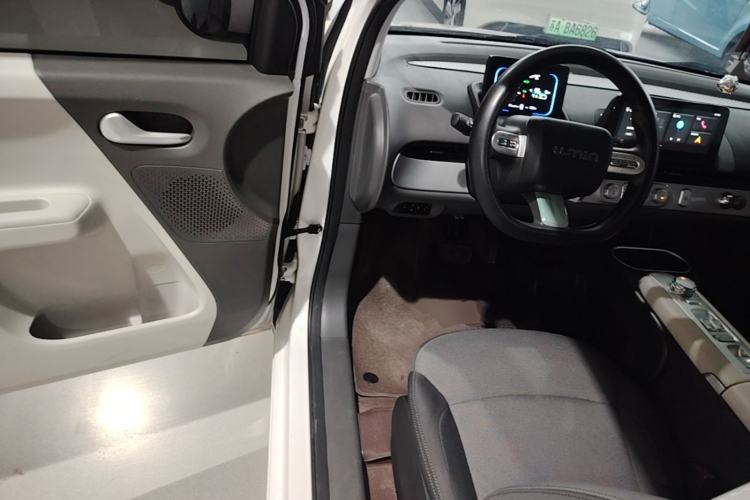 Used CHANGAN NEVO Lumin 2025 205 km Xiangqin Version Driver Seat