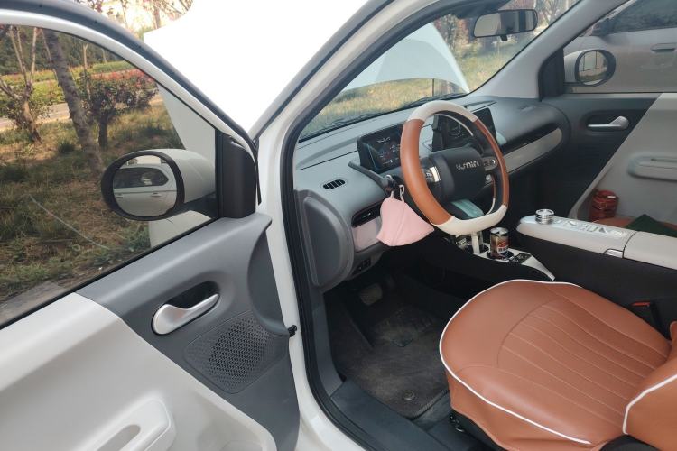 Used CHANGAN NEVO Lumin 2025 205 km Xiangqin Version Driver Seat