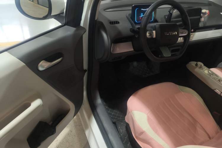 Used CHANGAN NEVO Lumin 2025 205 km Xiangqin Version Driver Seat
