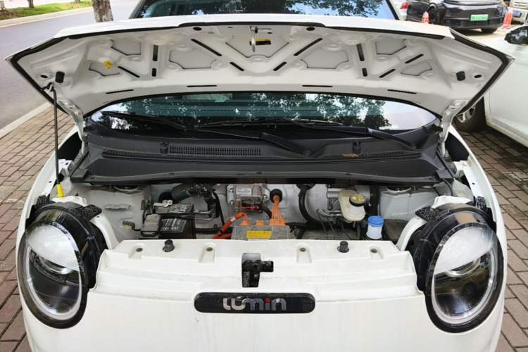 Used CHANGAN NEVO Lumin 2025 205 km Xiangqin Version Engine Bay