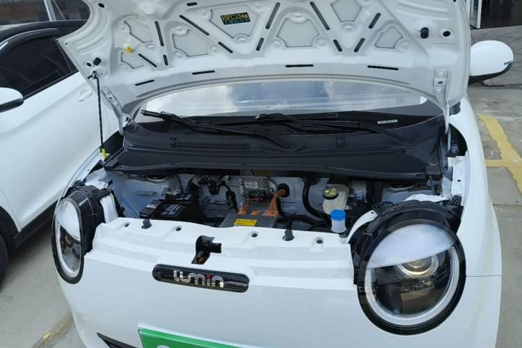 Used CHANGAN NEVO Lumin 2025 205 km Xiangqin Version Engine Bay