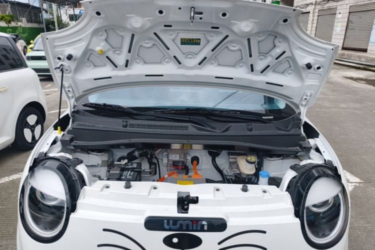 Used CHANGAN NEVO Lumin 2025 205 km Xiangqin Version Engine Bay