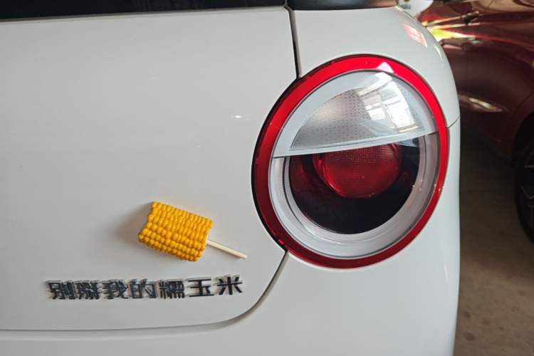 Used CHANGAN NEVO Lumin 2025 205 km Xiangqin Version Exterior 3