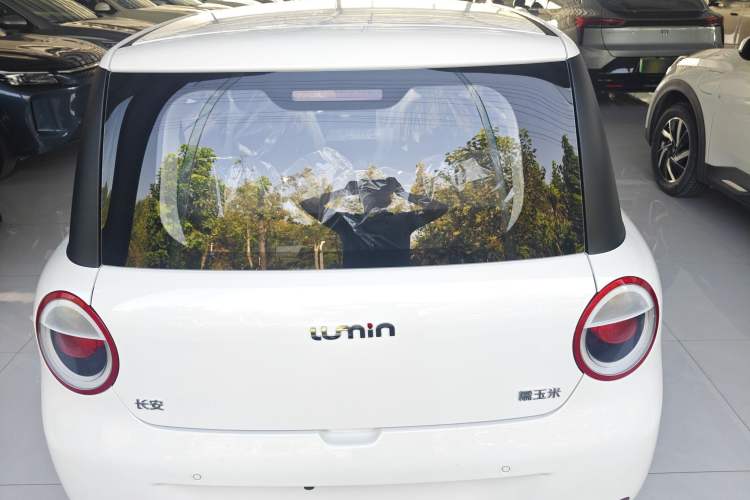 Used CHANGAN NEVO Lumin 2025 205 km Xiangqin Version Exterior 4