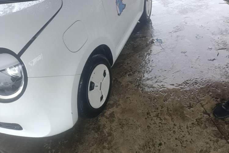 Used CHANGAN NEVO Lumin 2025 210 km Fragrant Edition Exterior 4