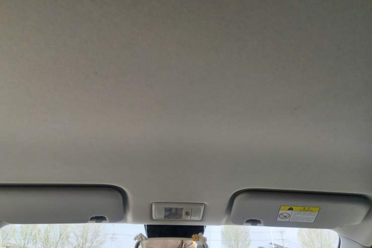Used CHANGAN NEVO Lumin 2025 205 km Xiangqin Version Headliner